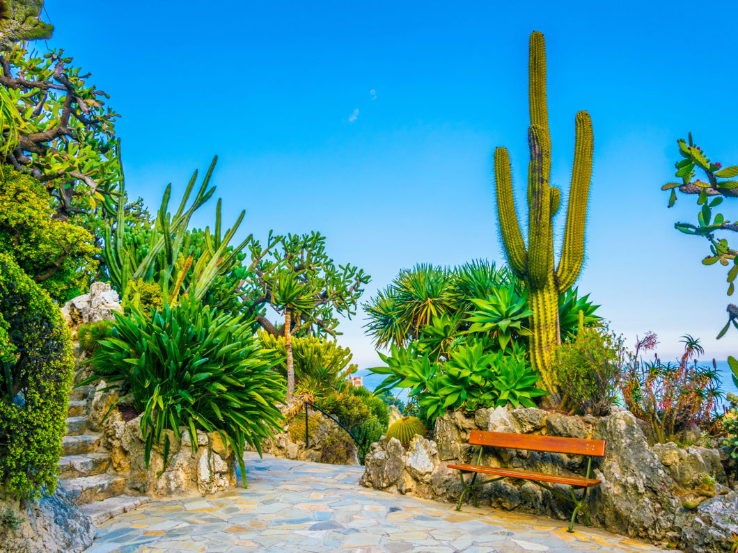 Jardin Exotique garden in Monaco