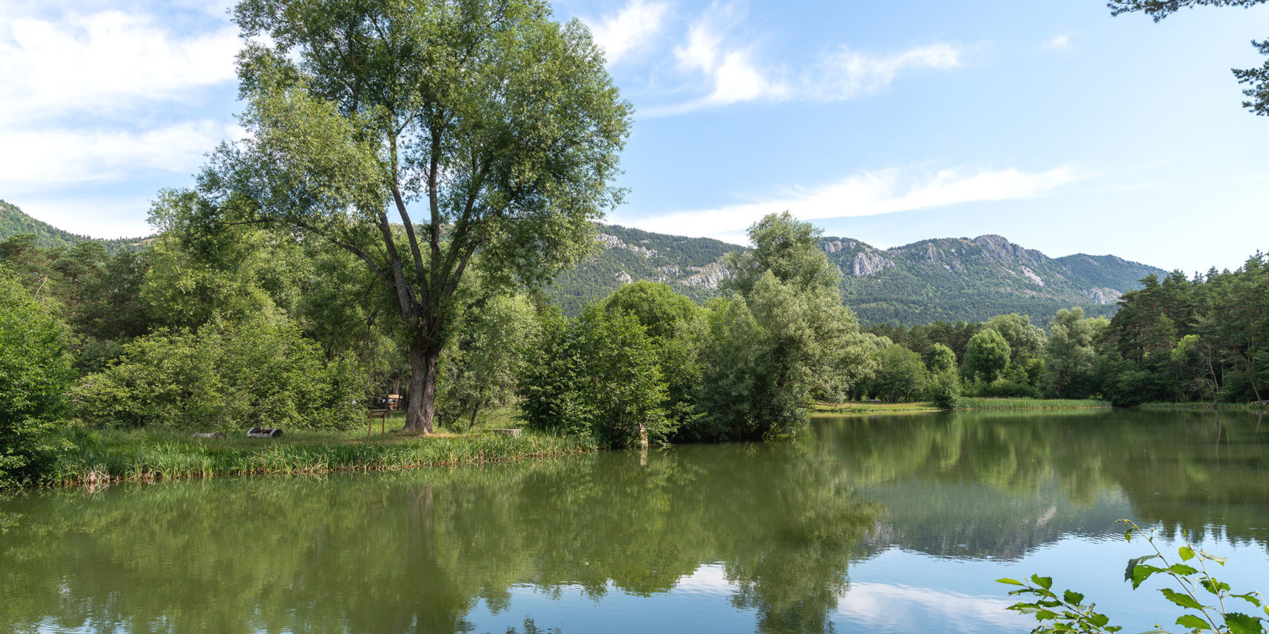 Panorama sur le lac de Thorenc dans le Sud de la France