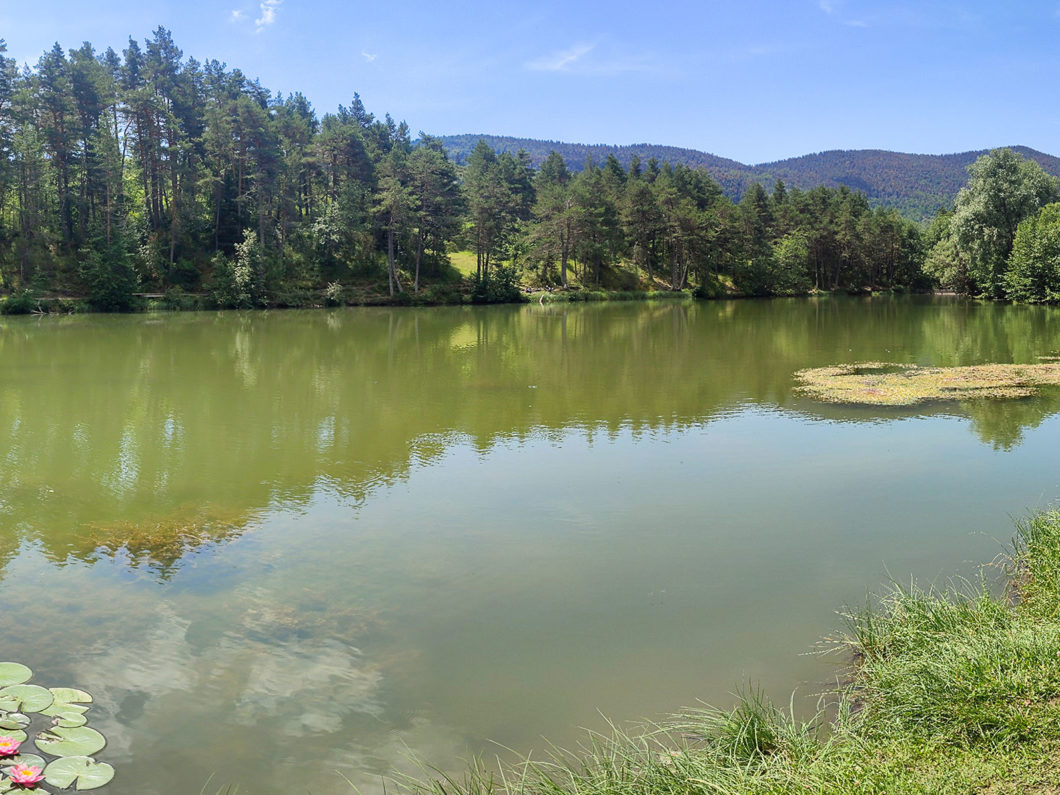 Paysage reposant au bord du lac de Thorenc dans le Sud de la Fra