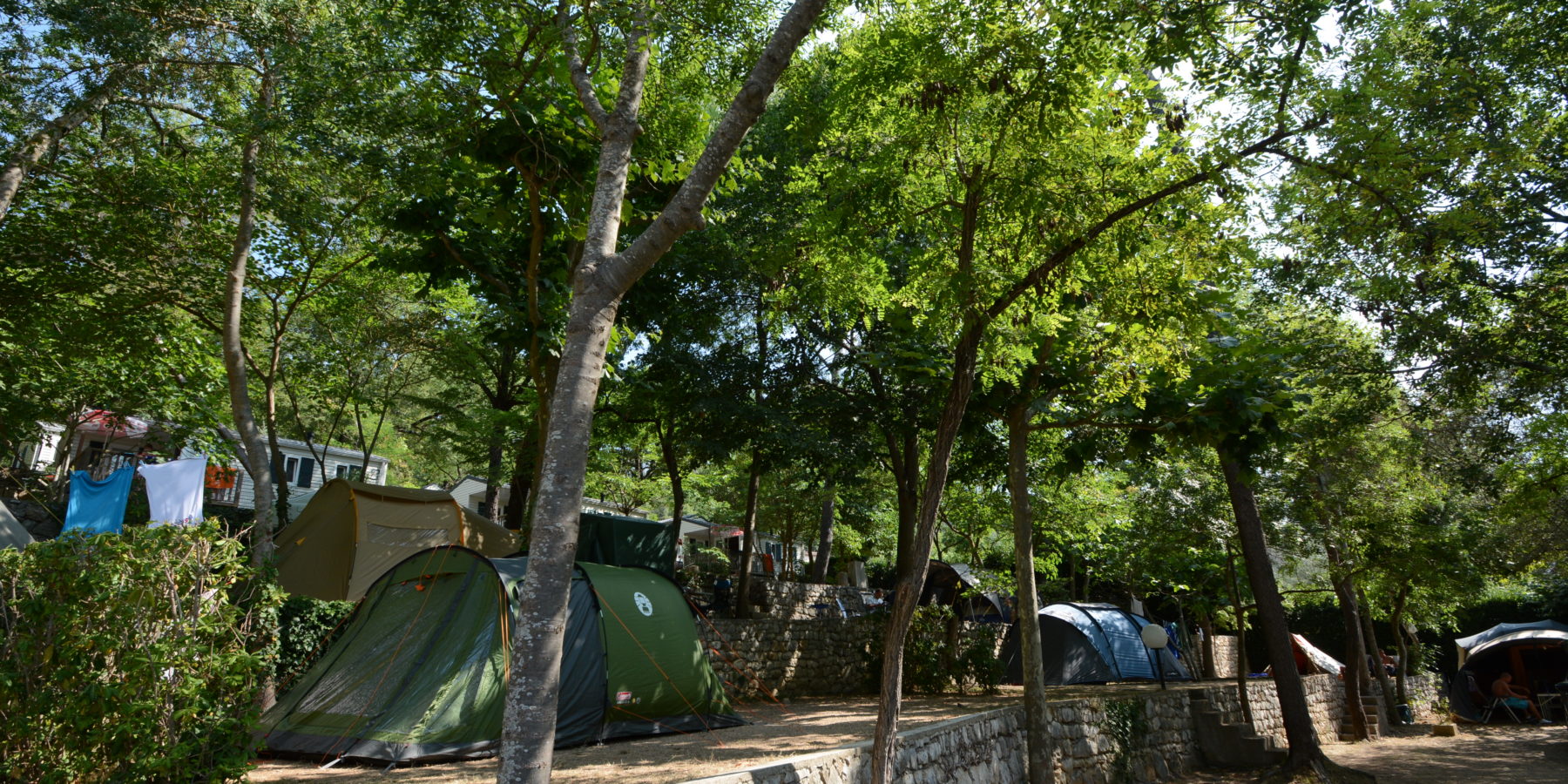 Les Pinedes Emplacement Nature 3