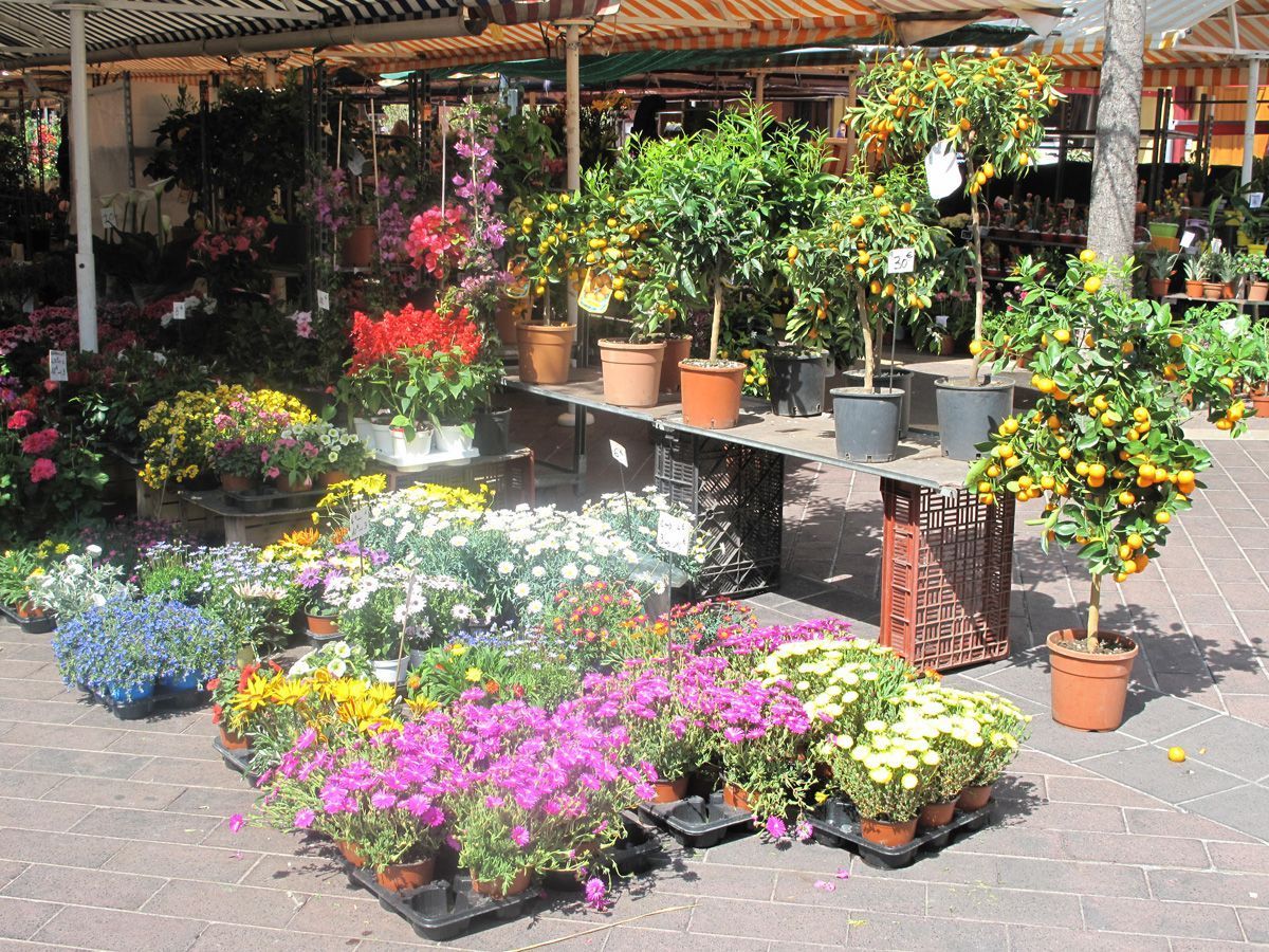 Marché Cours Saleya fleurs Nice