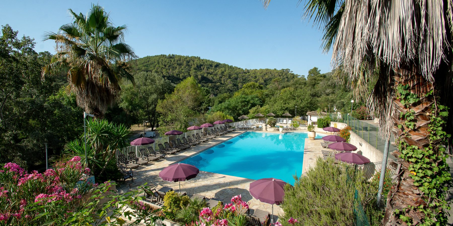 Vue de la piscine, sous un ciel bleu, végétation luxuriante.