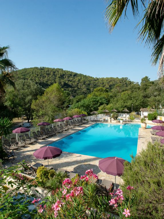 Vue de la piscine, sous un ciel bleu, végétation luxuriante.