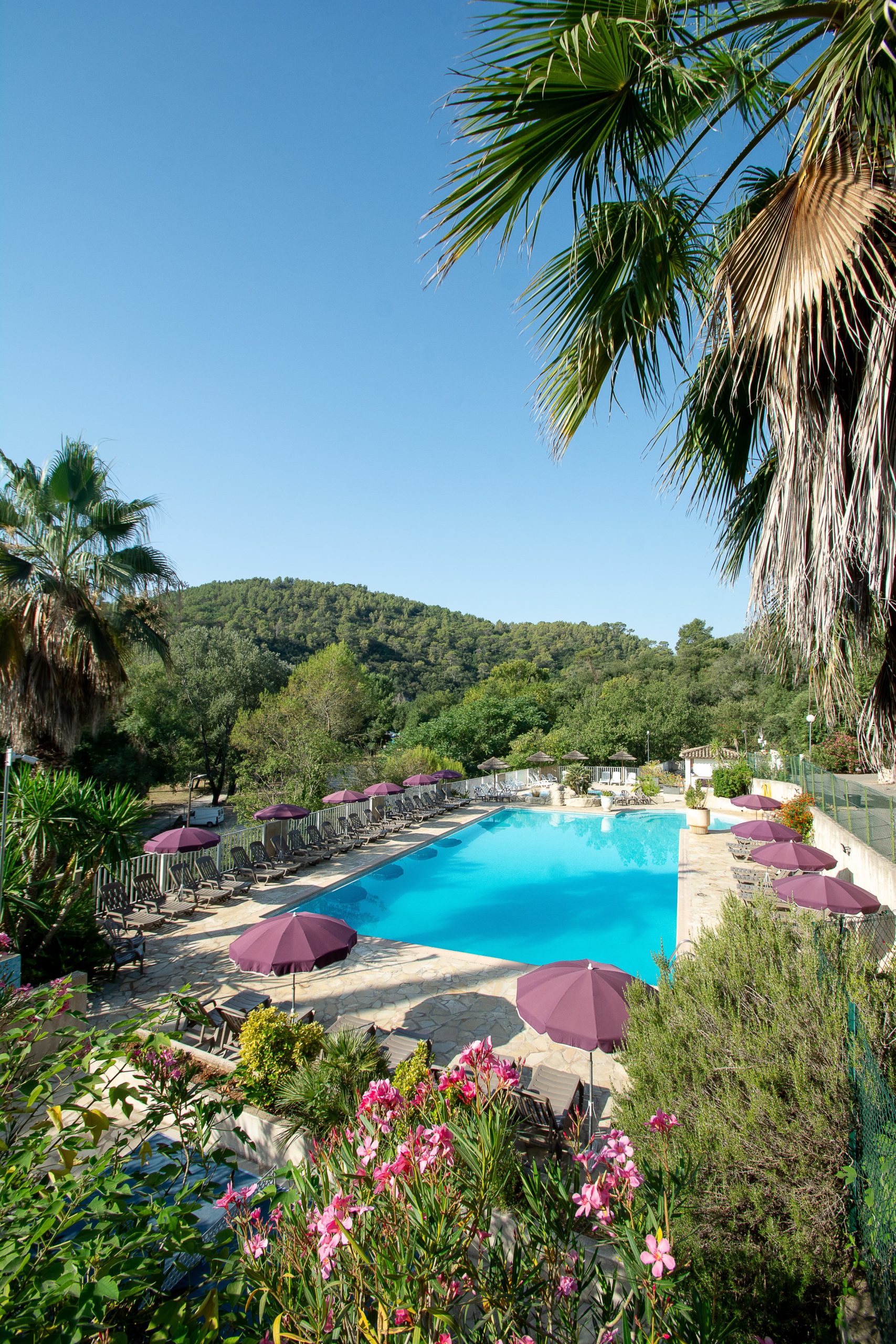 Vue de la piscine, sous un ciel bleu, végétation luxuriante, format vertical