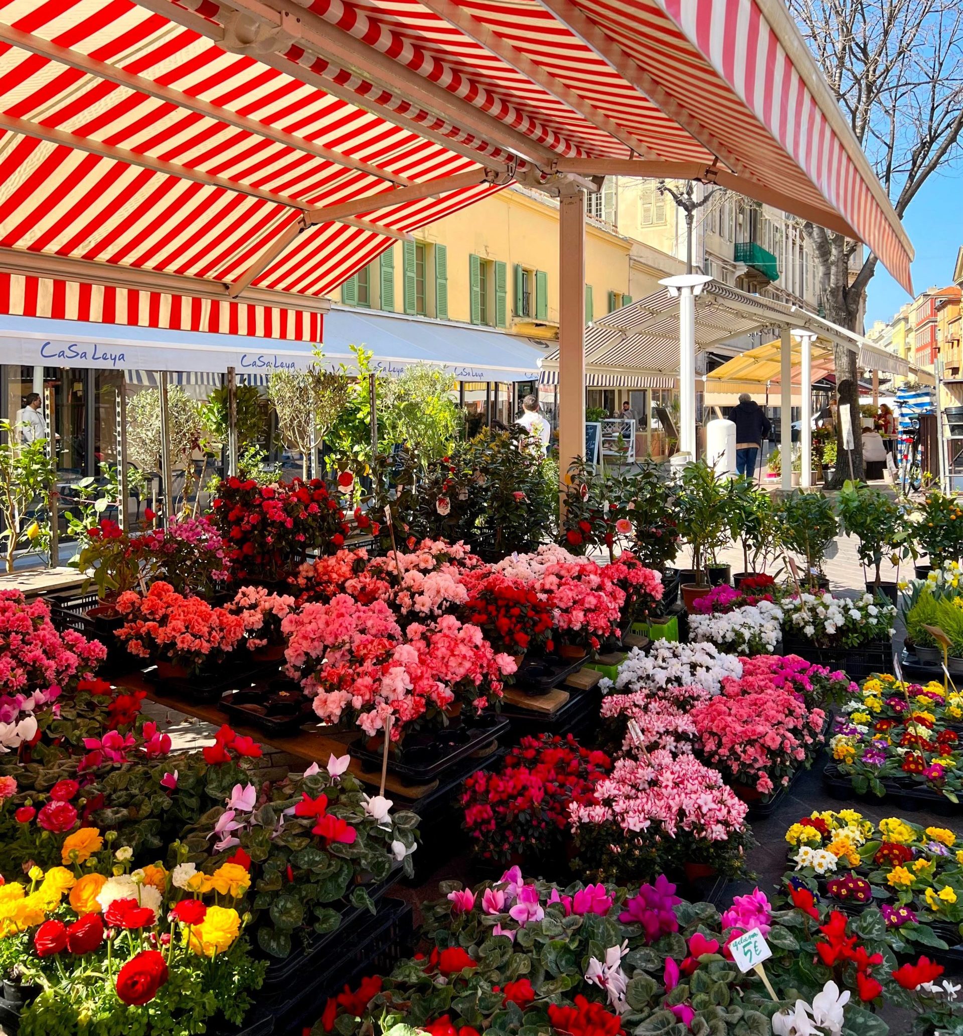 Cours Saleya 2